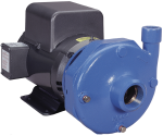 Goulds Xylem 3656-3756 S End Suction Flanged Pumps