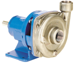 Goulds Xylem ICSF Stainless Steel Pumps