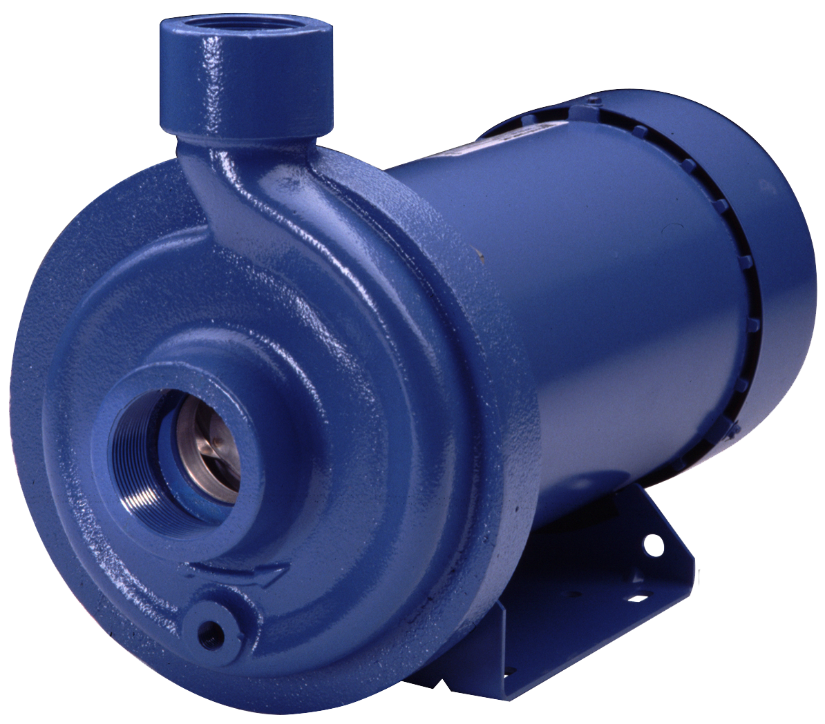 Goulds Xylem MCC Cast Iron Pumps with Stainless Steel Impellers